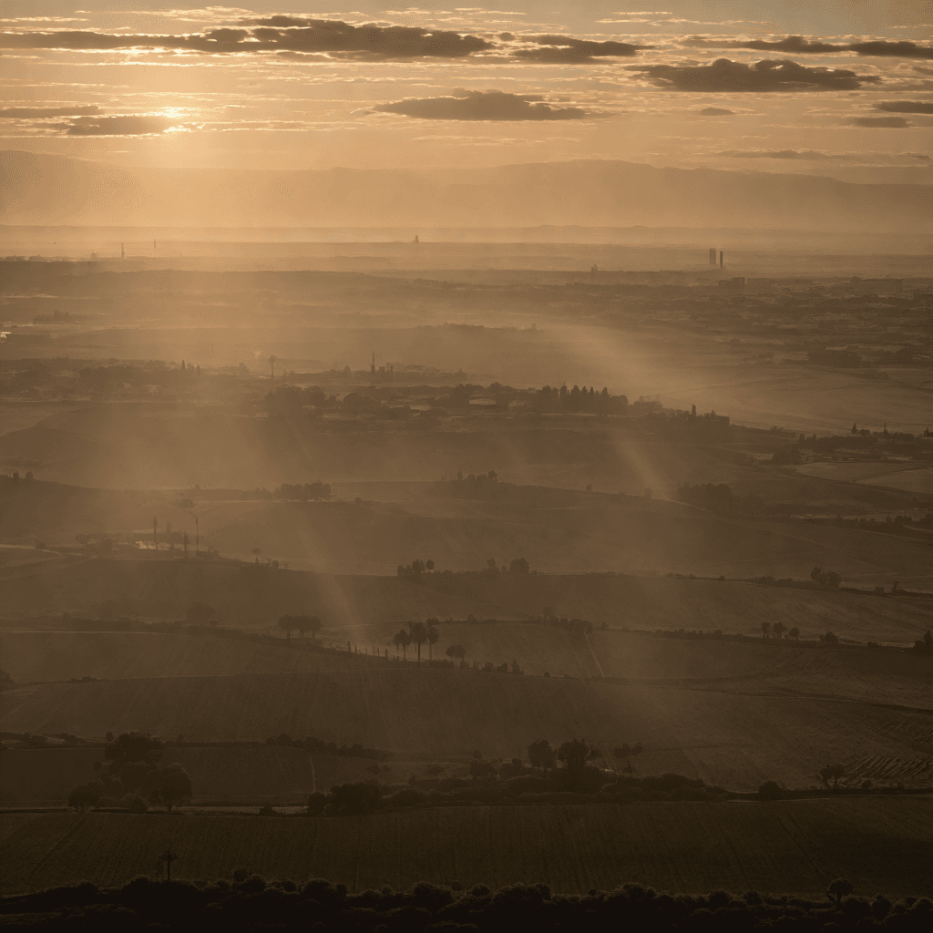 [労働政策] スペインの「30万人正規化」が拓く国家存続の道：地下経済から社会保障の担い手へ
